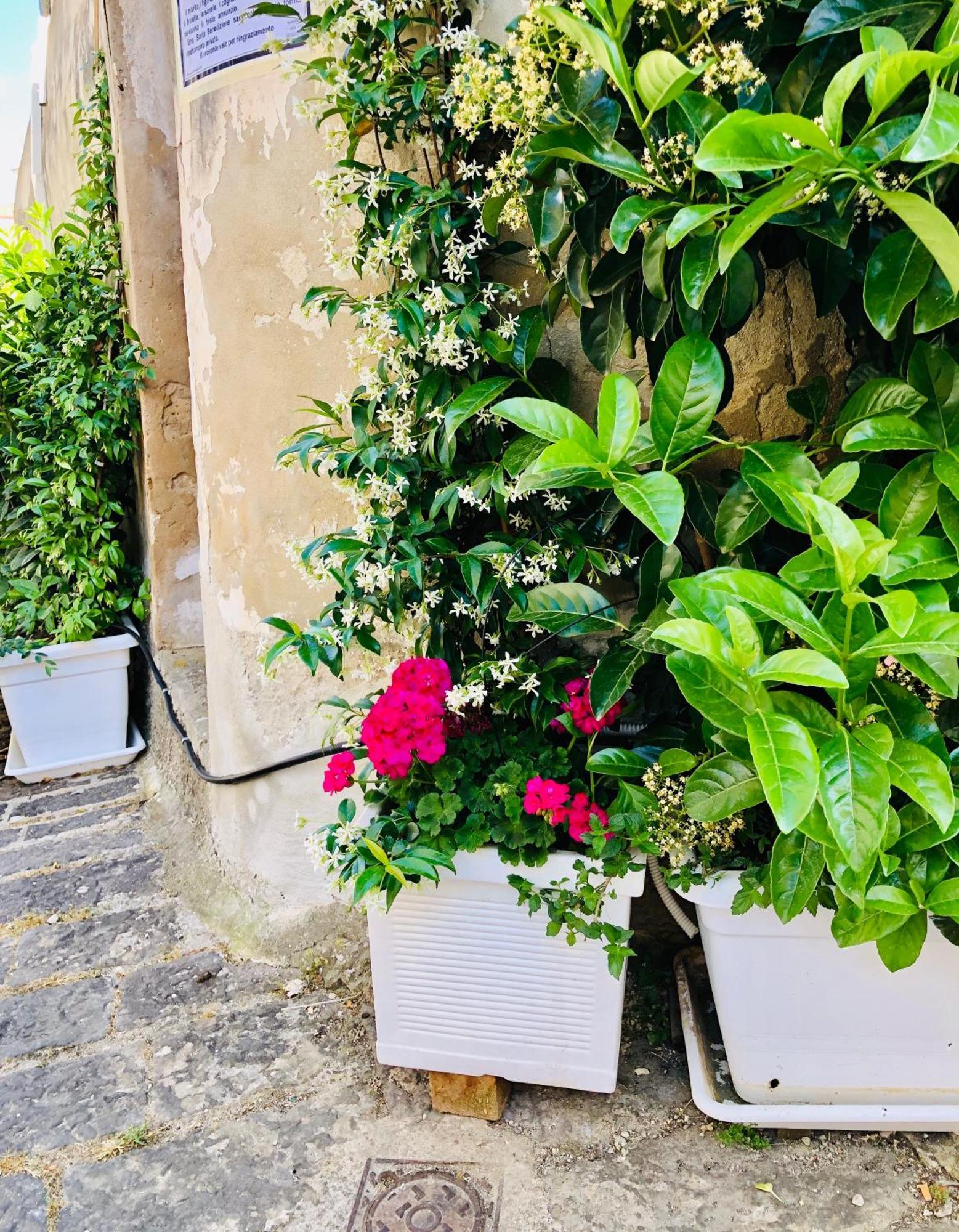 A casa da Anita Palazzolo Acreide Exterior foto